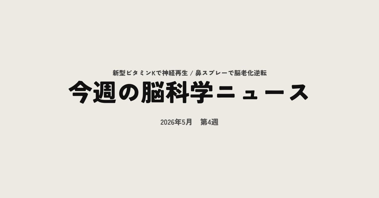 今週の脳科学ニュース【2026年5月第4週】日本発の新型ビタミンKで神経が再生