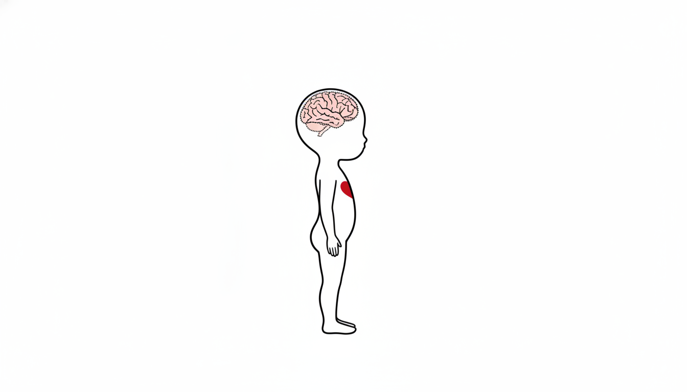 小さな人型の頭の中のピンクの脳の前側だけが点線で描かれ、まだ完成していないことを示す線画イラスト